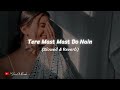 Tere Mast Mast Do Nain - Rahat Fateh Ali Khan, Shreya Ghoshal | Dabbang | Slowed & Reverb Mp3 Song