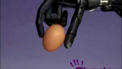 CyberGlove Handling an Egg