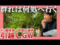 【43歳独身】群れは何処へ行く。【地獄の連休】| 引越しGW