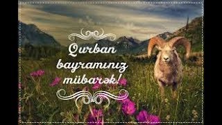  Qurban Bayrami Tebrikleri