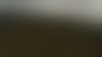 DayZ brakes Arma2 "I am a BIRD!!"