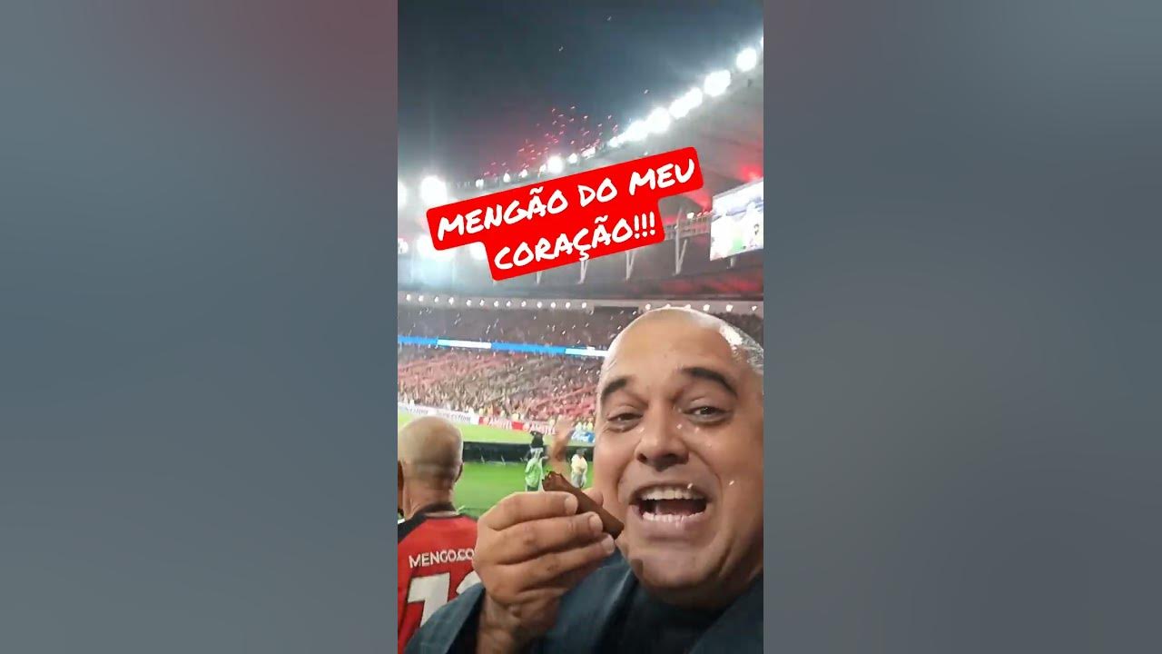MENGÃO DO MEU CORAÇÃO! #mengo #memgao #classificado #libertadores #flamengo