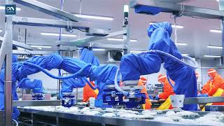 Flexiv's Automated Fish Fillet Shaping Solution with Rizon 4