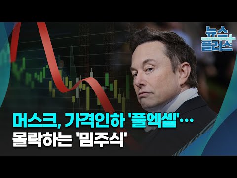   머스크 가격인하 풀엑셀 몰락하는 밈주식 GO WEST 한국경제TV뉴스