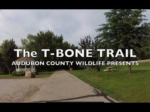 iowa realty The T Bone Trail, Fast bike ride from Exira to the interstate and back!