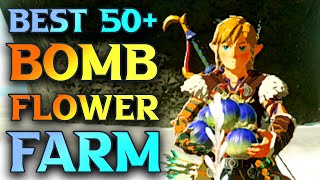 BEST Bomb Flower Farm Zelda Tears Of The Kingdom - How To Get Bomb Flowers in TotK screenshot 5