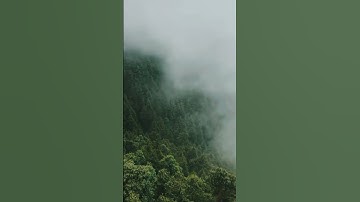 It’s easy to take clouds for granted #nature #cloud #trees #iphone14 #apple