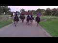 HORSE KINGS of the ROAD Trail Ride (Massive speed)