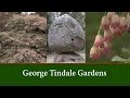 George Tindale Memorial Gardens Sherbrooke - A Garden To Visit in Melbourne