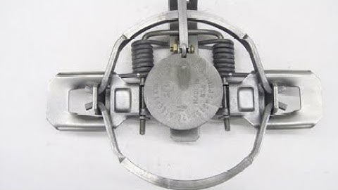 Adding Chain To A Trap.