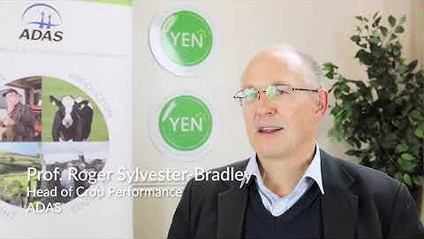 Roger Sylvester Bradley - The purpose of the YEN