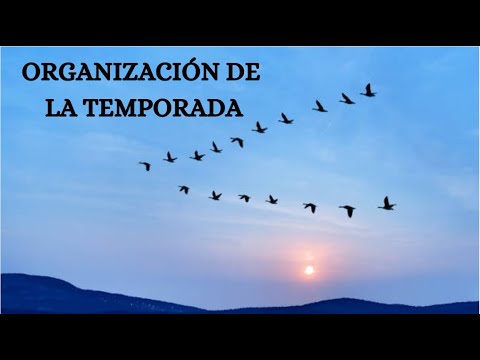 MANAGEMENT #18 SEASON ORGANIZATION