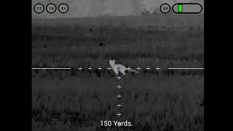 Thermal Hunting: A double for the .22 Hornet and T-Ceptor PRO 55-6