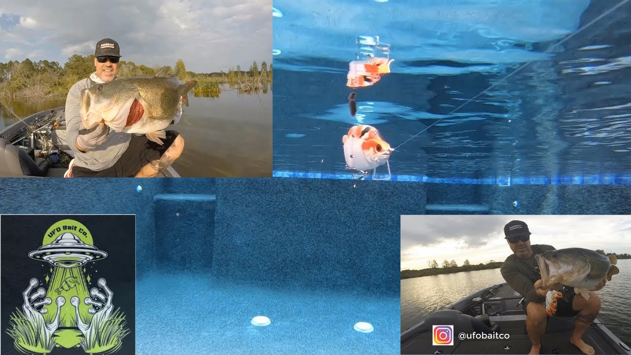 UFO Bait Company Koi Wake Swimbait Cast to Catch