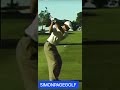 PRIME TIME TIGER WOODS  WHAT DO YOU LIKE/DISLIKE?#golf #golfer #golflesson #tigerwoods #golfswing