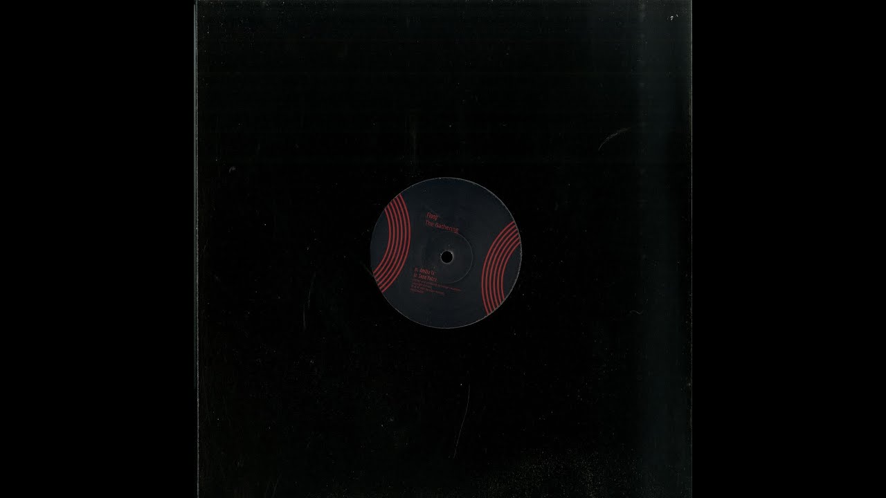 Floog - The Gathering (MOSCOW029) - YouTube