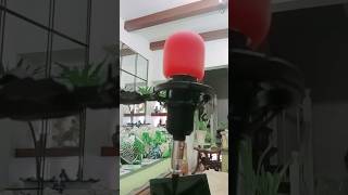 Quick Unboxing Replaced Bm800  For My   Thank You Ate annafonzietv shorts bm800
