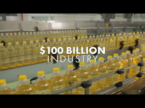 The truth about vegetable oil