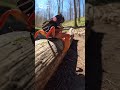 Adventurous crab hikes