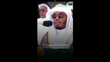 اواخر سورة الحشر ياسر الدوسري