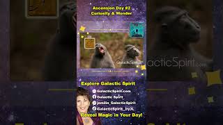 Lunar Human: GalacticSpirit