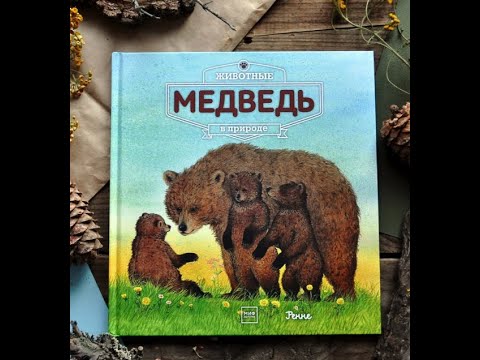 Видеообзор книги Животные в природе. Медведь