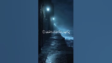 سورة قريش بصوت الشيخ خالد الجليل 😭