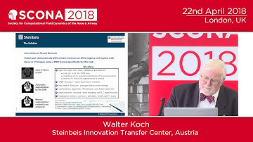 4.8 Segmentation of the nasal cavities and sinuses using AI - Prof Walter Koch