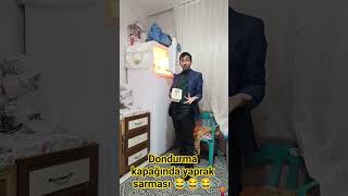 Dondurma Kapağında Yaprak Sarması