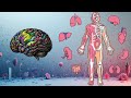 "The Hidden Power of Human Brain | Mind Blowing Facts in Hindi 🧠" #facts