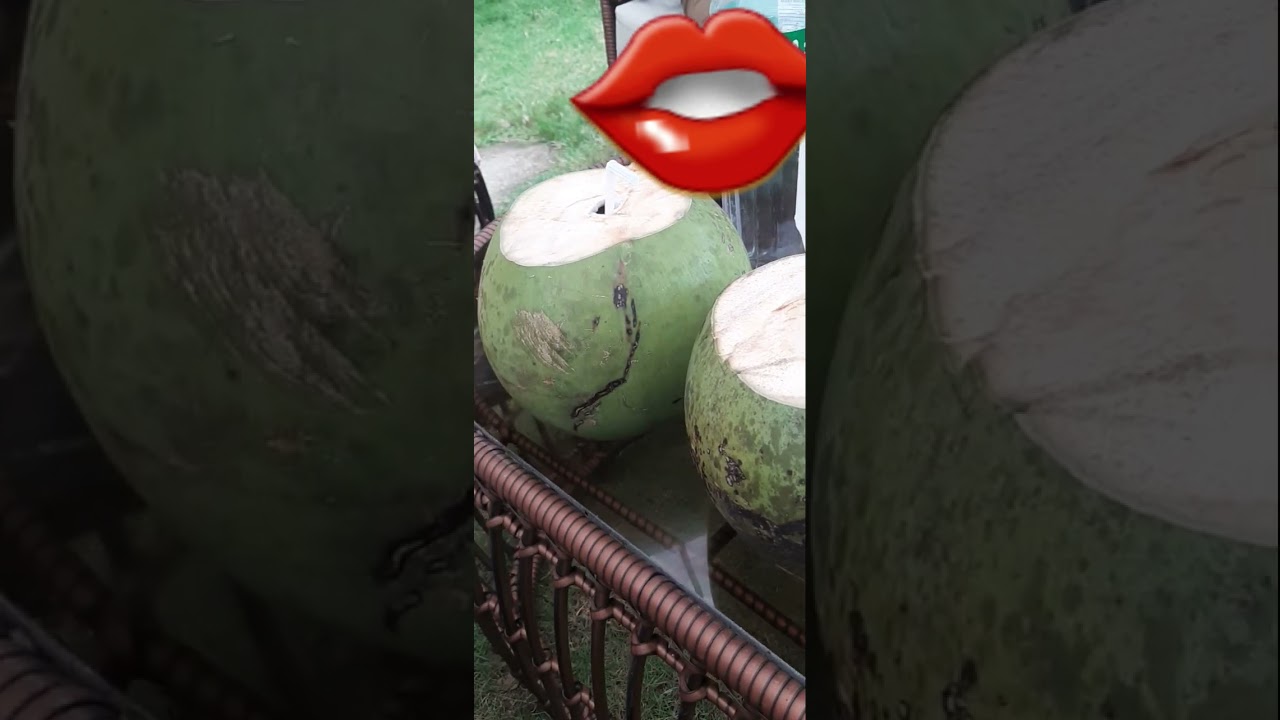 COCONUT refreshment! 🌴