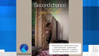 St. Tammany Animal Services