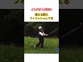 〝インパクトがないゴルファーが多い〟佐藤精一プロのレッスンを令和のゴルファーに見て頂きたい! #ゴルフ #golf #ゴルフスイング #ゴルフレッスン #佐藤精一