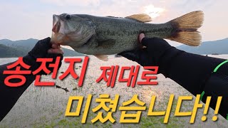 송전지 배스가 쏟아져 나옵니다. #배스낚시 #6월배스 #송전지 #bassfishing