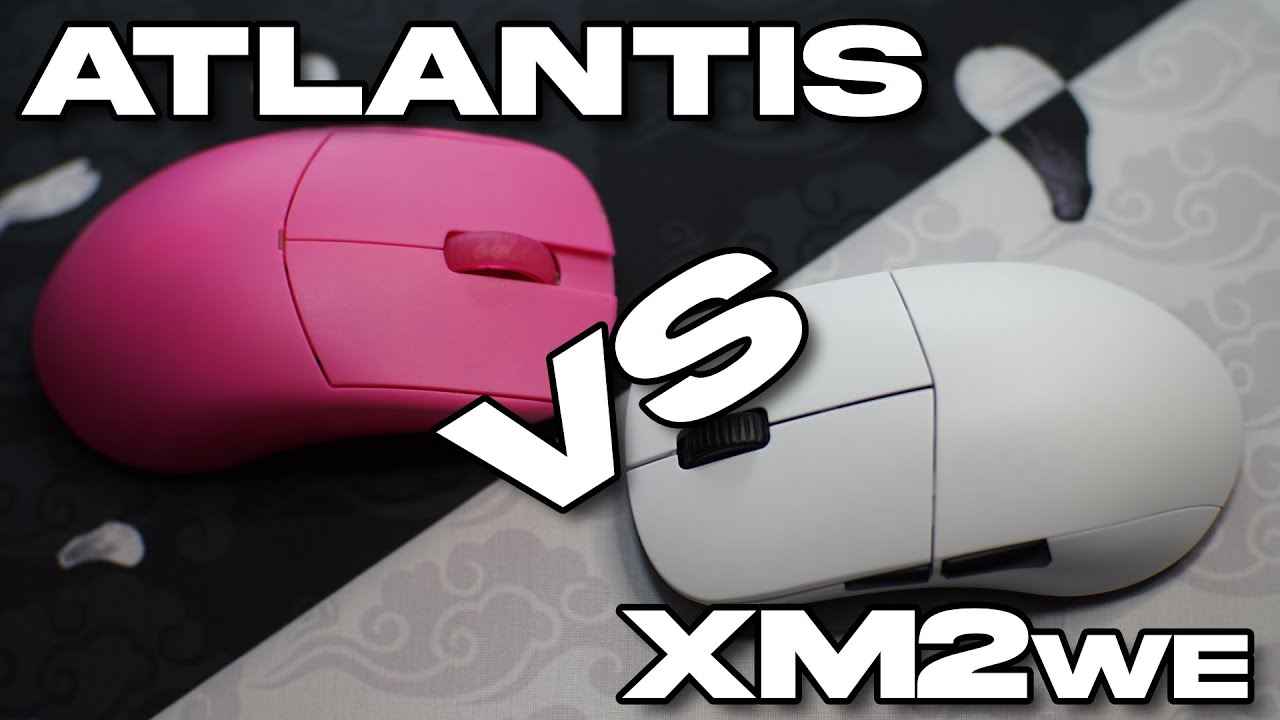 まとめ売り】ENDGAME GEAR XM2we Lamzu Atlantis