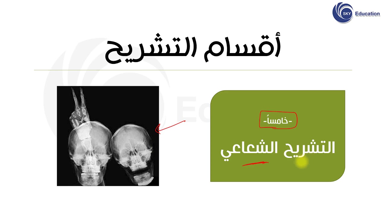 مقدمة في التشريح العام || التشريح العام للسنة التحضيرية