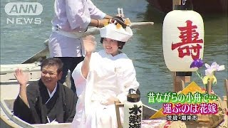 「あやめまつり」で嫁入り舟　茨城・潮来市(15/06/08)