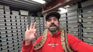 Celebrity Upgrade Your COLLECTION for 50% LESS!!!! TSRR 149 Wealth