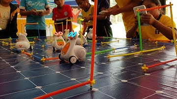 Card Controller - Albert Smart Robot