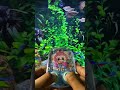 Labubu Water Gamebot #gaming #squidgame #satisfyingvideo #satisfying #toys