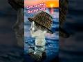 Crochet a Bucket Hat - FREE #crochet Pattern. #crochetpattern #crocheting #buckethat #pattern