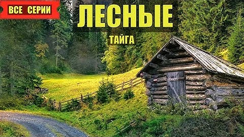 ЛЕСНЫЕ ВСЕ СЕРИИ МОРОЗ ИЗБА ЛЕСНИКА ТАЁЖНЫЙ РОМАН ЖИЗНЬ в ТАЙГЕ ИСТОРИИ из ЖИЗНИ в ЛЕСУ СЕРИАЛ
