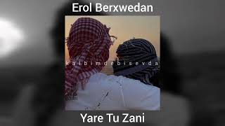 Erol Berxwedan - Yare Tu Zani (speed up)