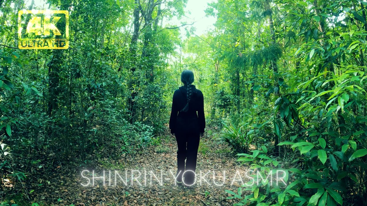 Shinrin-Yoku Forest Bathing: A Relaxing ASMR Walk Through the Woods ...