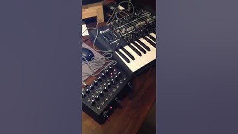 MiniBrute Filter Mod and the 16 Channel 16QSXA6M9 Sequencer