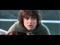 Frodo sam faithful friend