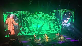 Split Enz - Dirty Creature - Live In Sydney  - ICC Sydney / Tik Tok Entertainment Centre - 18/5/26  