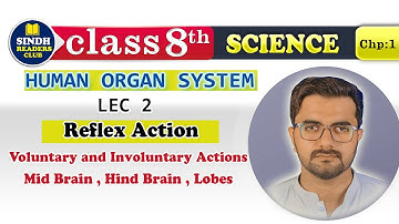 Reflex Action | Voluntary and Involuntary Actions | Mid Brain | Hind Brain | Science 8 | Lecture 2