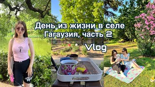 VLOG | День из жизни в селе | Гагаузия Часть 2 | Молдова
