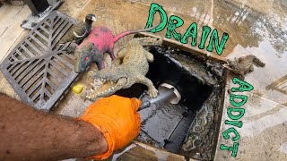 Blocked Drain 579